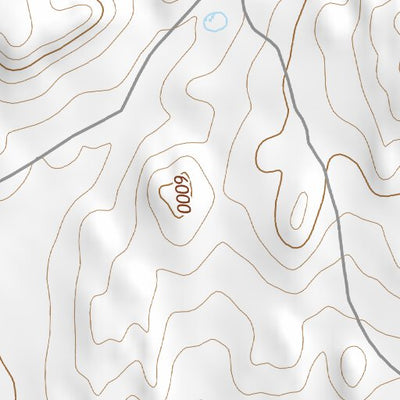 34106SE Page 90 Socorro Topo Preview 2