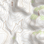 34106SE Page 90 Socorro Topo Preview 3