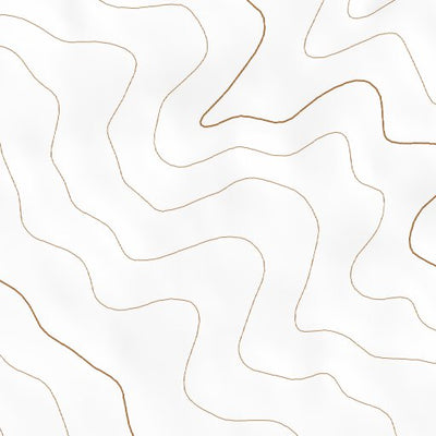 34107NE Page 106 Acoma Pueblo Topo Preview 2