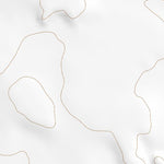 34107NW Page 37 Acoma Pueblo Topo Preview 2