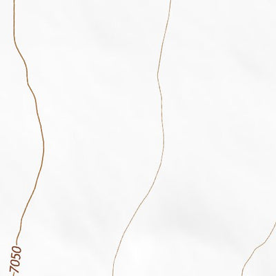 34107SW Page 80 Magdalena Topo Preview 2