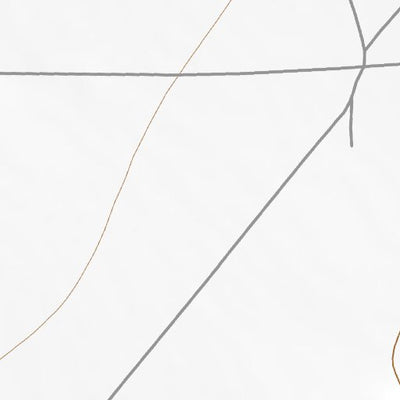 34107SW Page 92 Magdalena Topo Preview 2