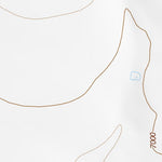 34107SW Page 99 Magdalena Topo Preview 2