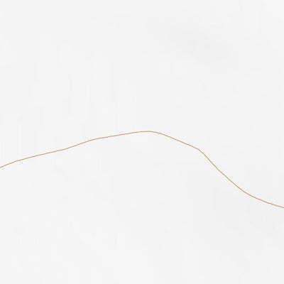 34107SW Page 103 Magdalena Topo Preview 2