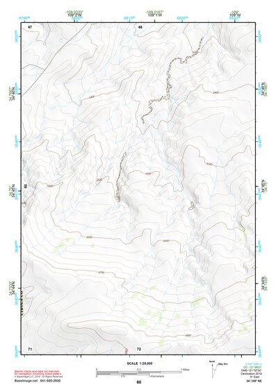 34109NE Page 60 Saint Johns Topo Preview 1