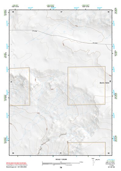 34109NE Page 79 Saint Johns Topo Preview 1