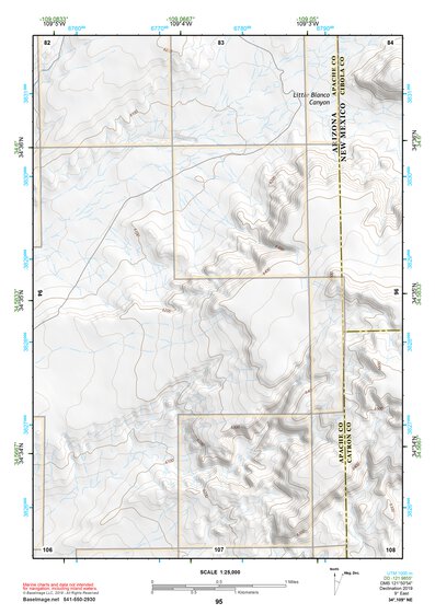 34109NE Page 95 Saint Johns Topo Preview 1