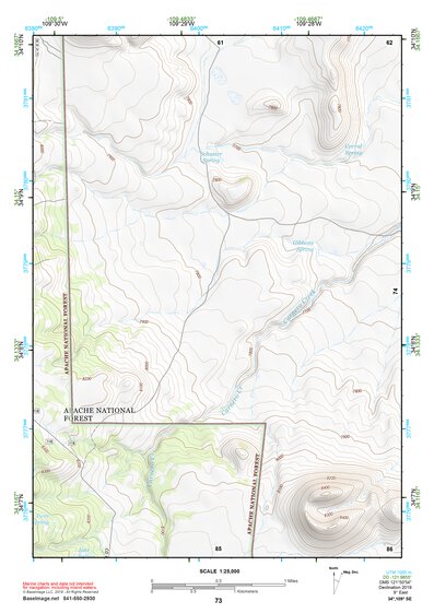 34109SE Page 73 Springerville Topo Preview 1