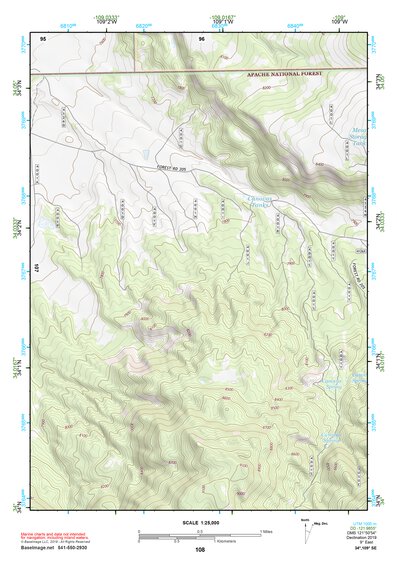 34109SE Page 108 Springerville Topo Preview 1