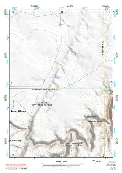34110NW Page 78 Holbrook Topo Preview 1