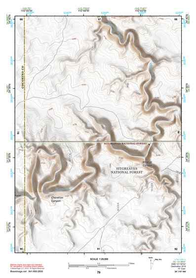 34110NW Page 79 Holbrook Topo Preview 1