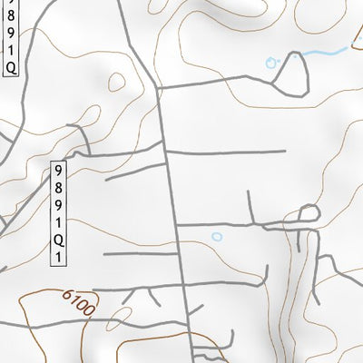 34110SE Page 46 Show Low Topo Preview 2