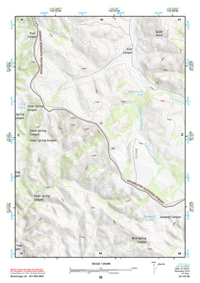 34110SE Page 52 Show Low Topo Preview 1