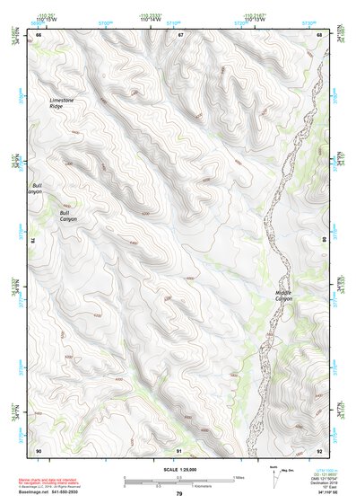 34110SE Page 79 Show Low Topo Preview 1