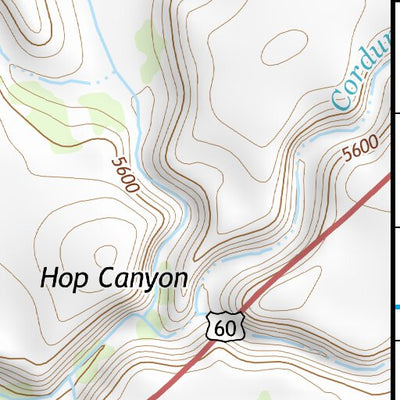34110SE Page 91 Show Low Topo Preview 3