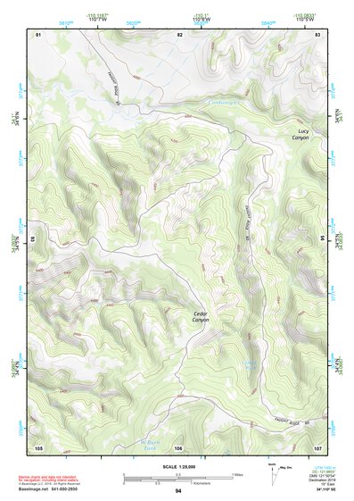 34110SE Page 94 Show Low Topo Preview 1