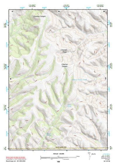 34110SE Page 100 Show Low Topo Preview 1