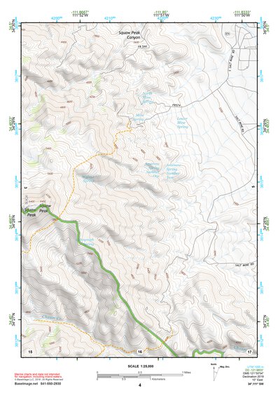 34111SW Page 4 Payson Topo Preview 1