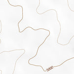 34112NE Page 61 Prescott Topo Preview 2