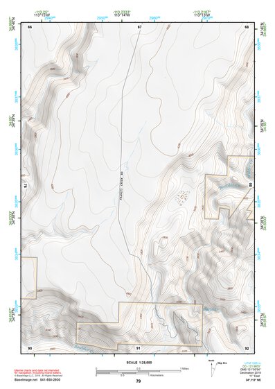 34113NE Page 79 Bagdad Topo Preview 1