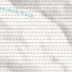 34113NE Page 90 Bagdad Topo Preview 2