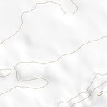 34115NW Page 8 Amboy Topo Preview 2