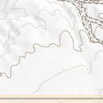 34116NE Page 1 Newberry Springs Topo Preview 2