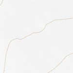 34116SW Page 10 Big Bear Lake Topo Preview 2