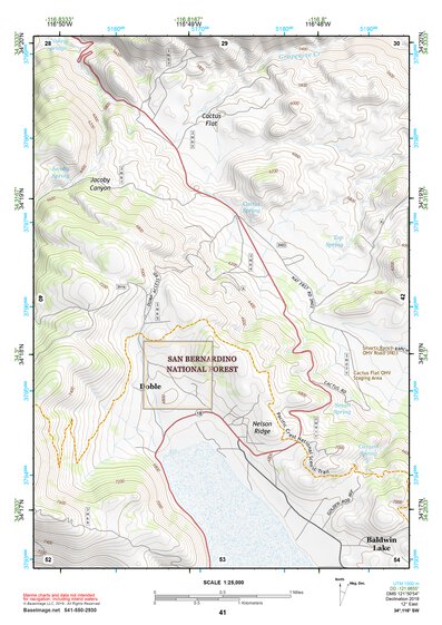 34116SW Page 41 Big Bear Lake Topo Preview 1