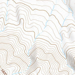 34116SW Page 44 Big Bear Lake Topo Preview 2
