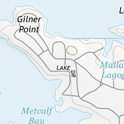 34116SW Page 50 Big Bear Lake Topo Preview 2