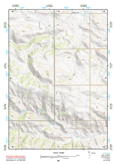 34116SW Page 69 Big Bear Lake Topo Preview 1