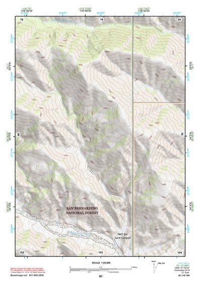 34116SW Page 91 Big Bear Lake Topo Preview 1