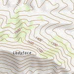 34118SW Page 78 Los Angeles Topo Preview 2