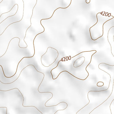 35103NE Page 99 Mosquero Topo Preview 2