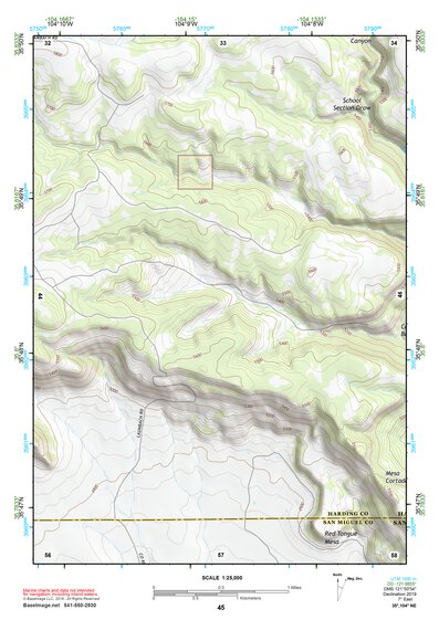 35104NE Page 45 Roy Topo Preview 1
