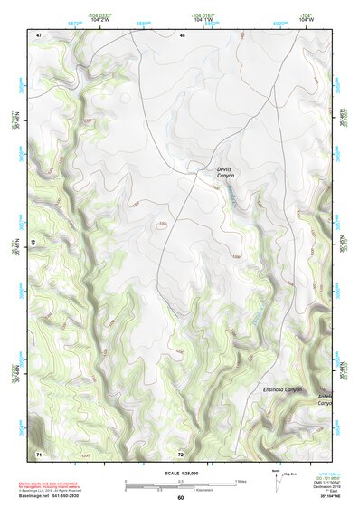 35104NE Page 60 Roy Topo Preview 1
