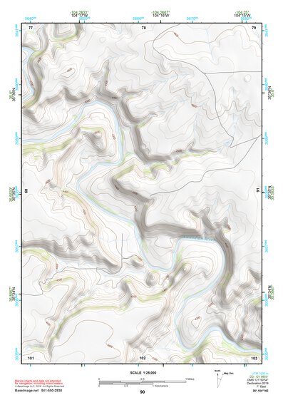 35104NE Page 90 Roy Topo Preview 1