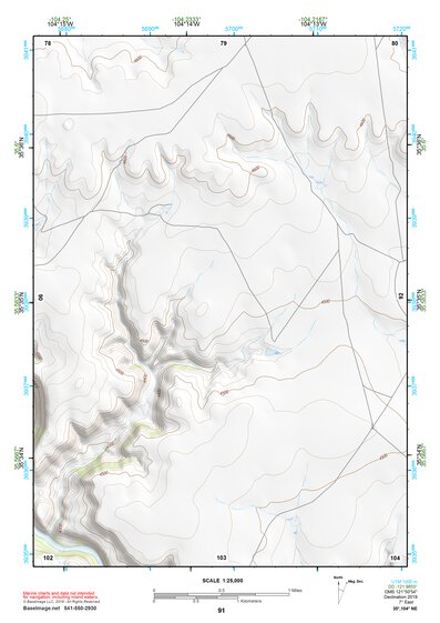 35104NE Page 91 Roy Topo Preview 1