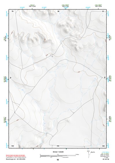 35104NE Page 92 Roy Topo Preview 1