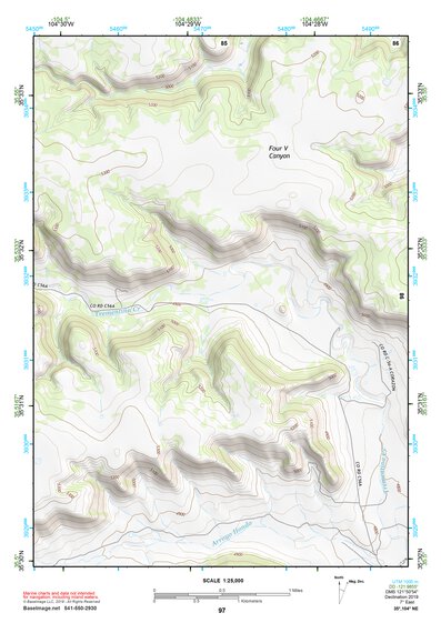 35104NE Page 97 Roy Topo Preview 1