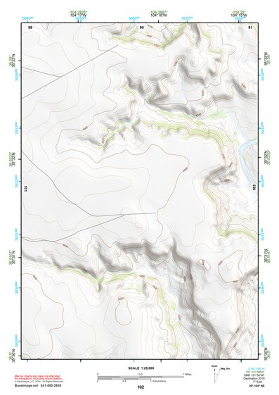 35104NE Page 102 Roy Topo Preview 1