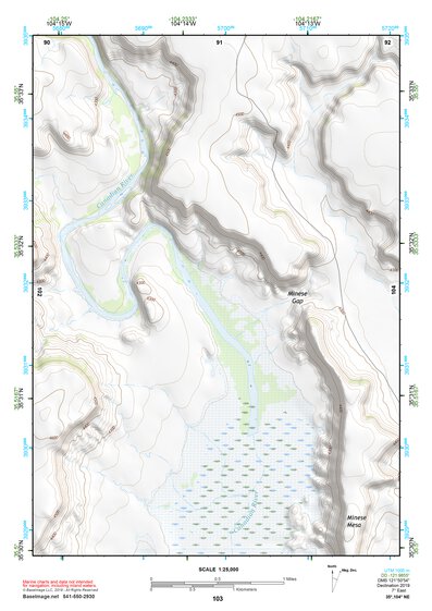 35104NE Page 103 Roy Topo Preview 1