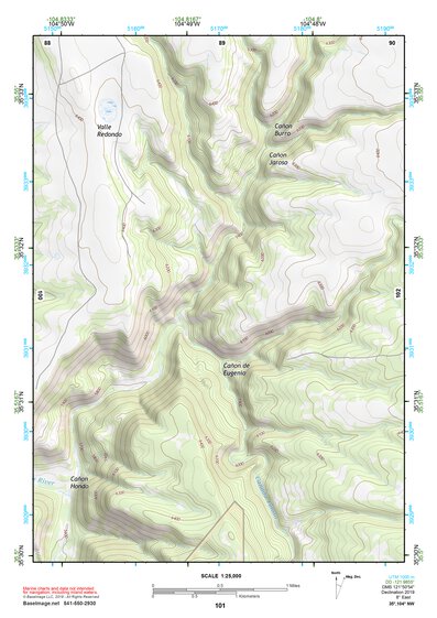 35104NW Page 101 Roy Topo Preview 1
