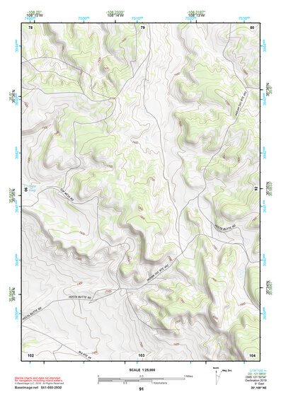 35108NE Page 91 Gallup Topo Preview 1