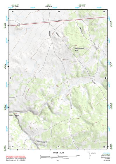 35109NE Page 63 Ganado Topo Preview 1