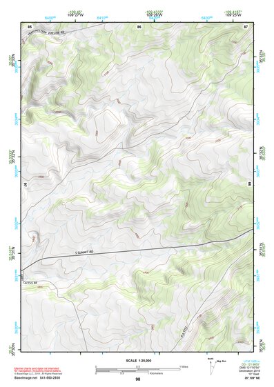 35109NE Page 98 Ganado Topo Preview 1