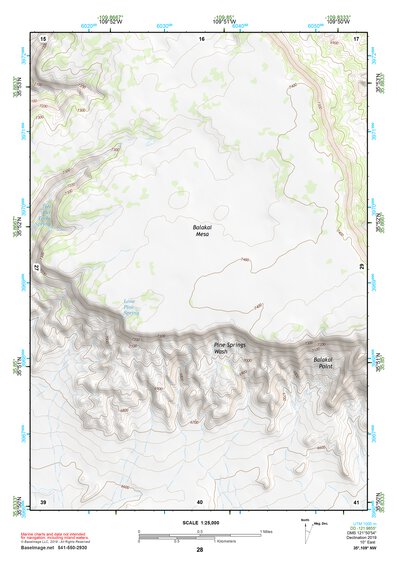 35109NW Page 28 Ganado Topo Preview 1
