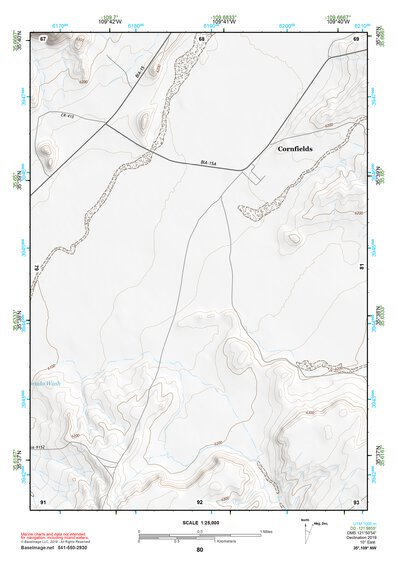 35109NW Page 80 Ganado Topo Preview 1
