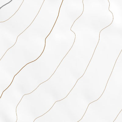 35109SE Page 37 Sanders Topo Preview 2